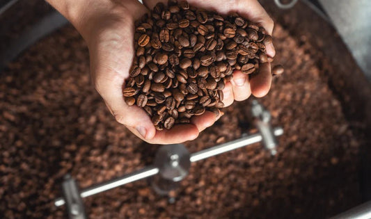 Vietnamese Coffee vs Italian Coffee: A Deep Dive into Roast Profiles, Taste, and Culture - Phin Coffee