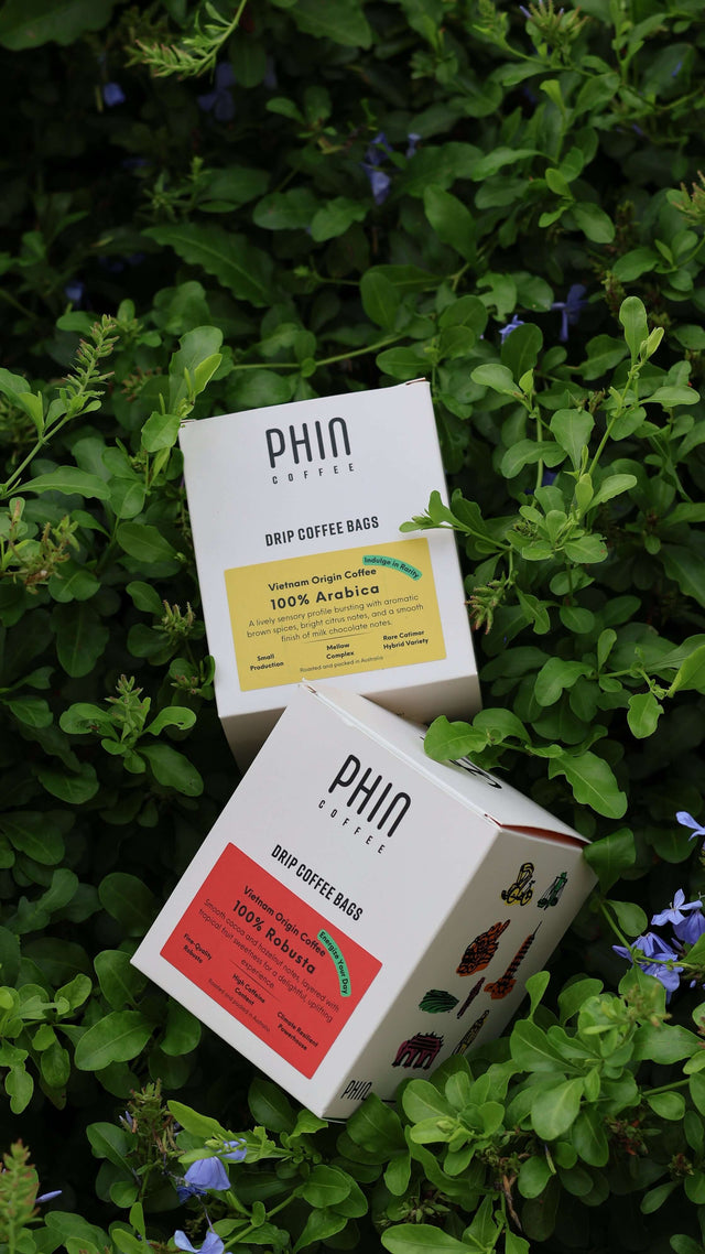 Vietnamese drip coffee bags collection featuring 100% Arabica and 100% Robusta pouches on a bed of green foliage.
