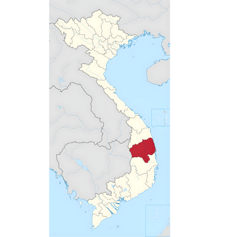 Gia Lai Robusta – Premium Vietnamese Robusta Coffee Profile