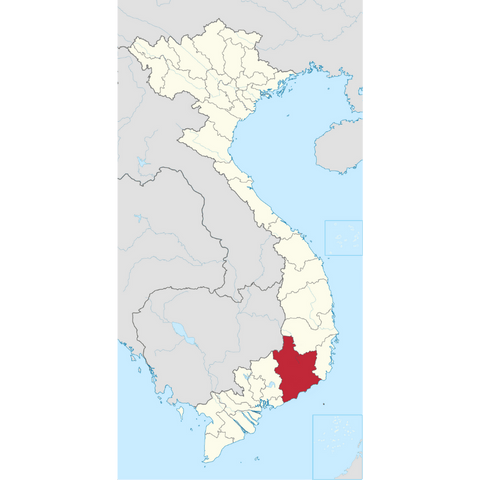 Lam Dong Arabica – Premium Vietnam Arabica Coffee Profile